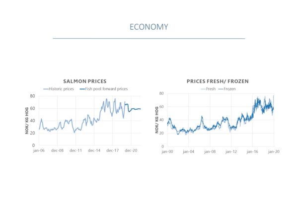 Salmon prices Fresh and Frozen
